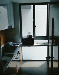 Maplewoods (D21), Condominium #496257821